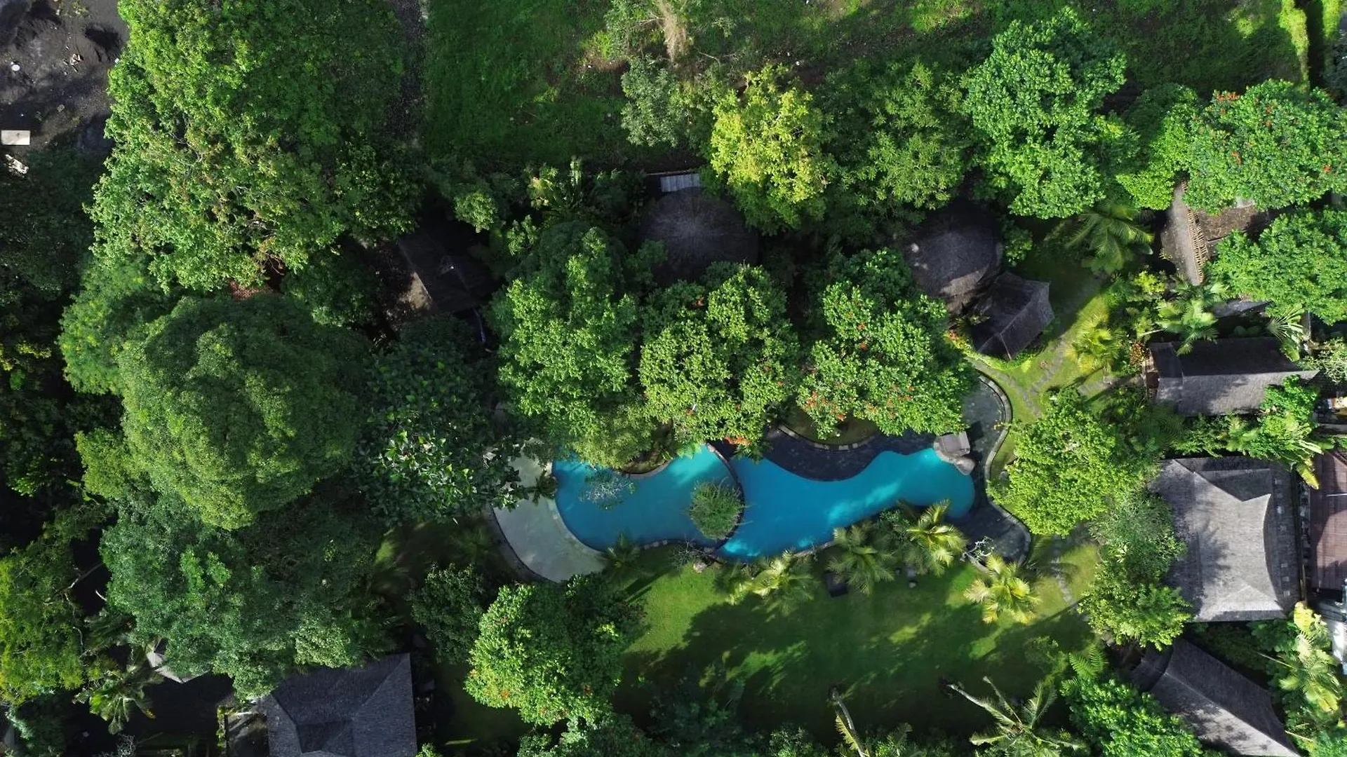 Green Tree House Villa Ubud Ferienpark